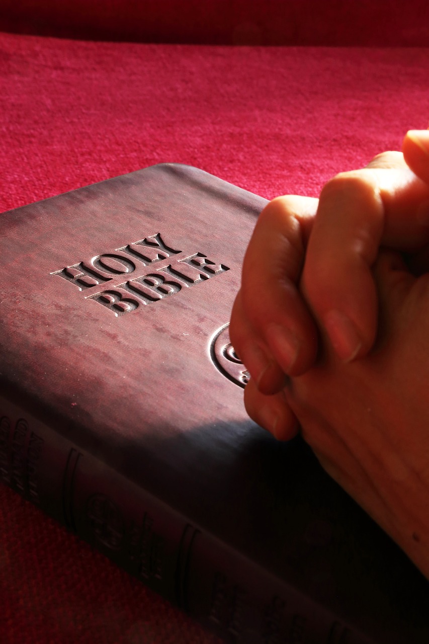 bible, holy, hands-706641.jpg
